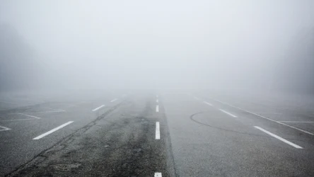 Gęste mgły od rana występują przede wszystkim w południowej i wschodniej części Polski. Miejscami utrzymają się przez kolejne godziny