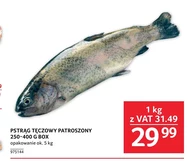 Pstrąg tęczowy