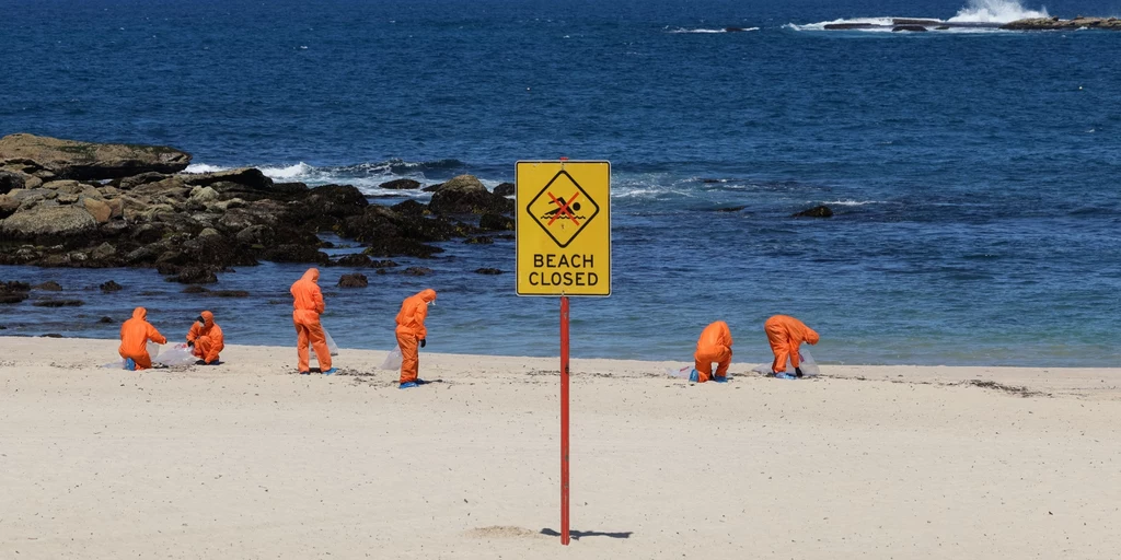 Tajemnicze czarne kule na plaży w Sydney. Zagadka w końcu rozwiązana