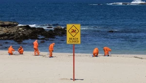 Tajemnicze czarne kule na plaży w Sydney. "To obrzydliwe!" 