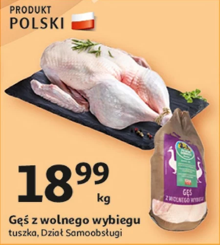 Gęś tuszka Polski