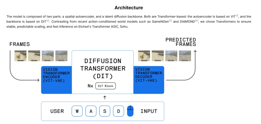 źródło: oasis-model.github.io
