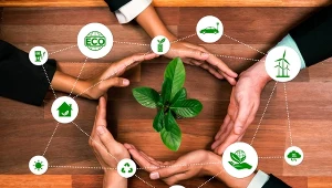 Jak wdrożyć zrównoważony rozwój w firmie?
