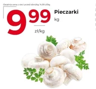 Pieczarki