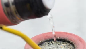 Yerba mate pobudza i pomaga w odchudzaniu. Warto pić ją regularnie.