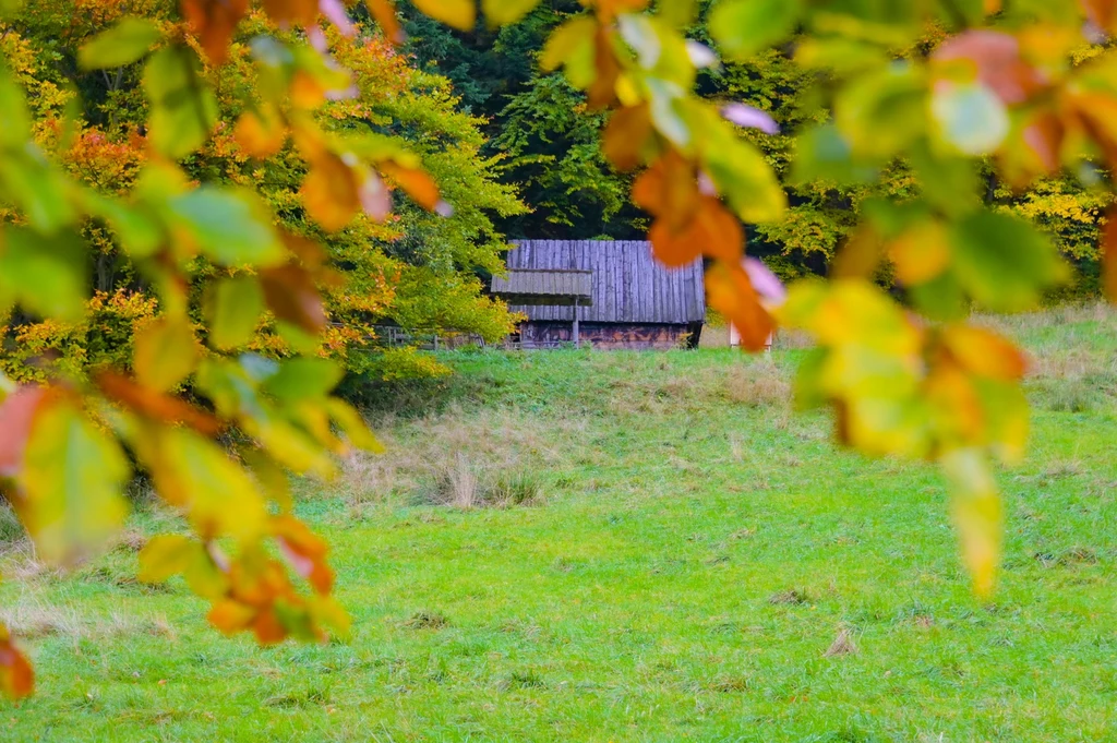 Zakopane zaprasza na długi weekend