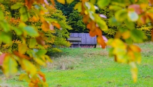 Tanie jak... nocleg w Zakopanem. Górale tną ceny na długi weekend 