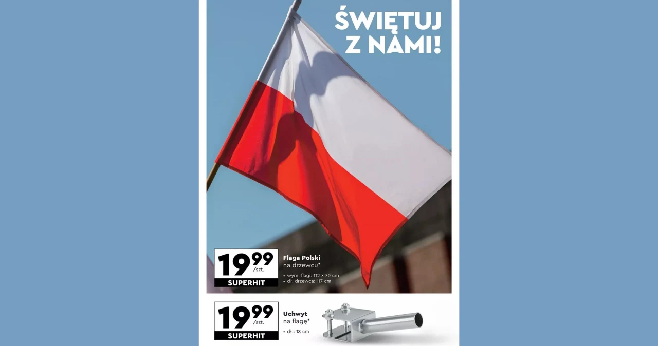 FLAGA NARODOWA NA DRZEWCU I UCHWYT - BIEDRONKA