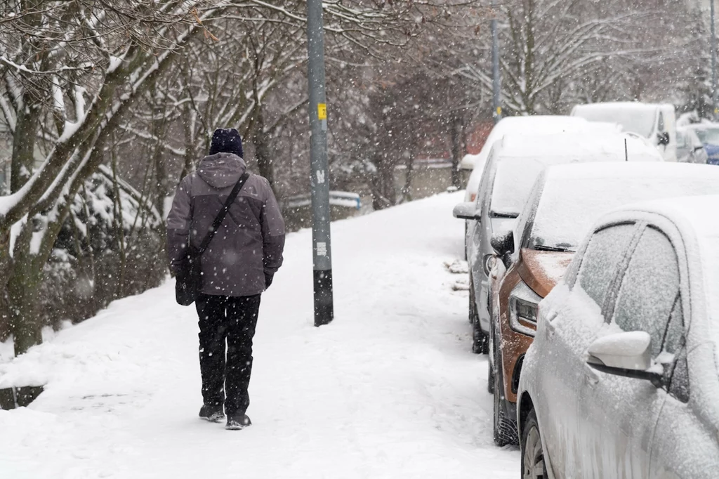 Kiedy ma być pierwszy śnieg? Padł termin. Zacznie się wkrótce