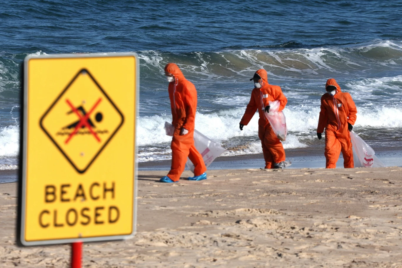 To nie smoła zanieczyściła australijską plażę To nie smoła zanieczyściła australijską plażę