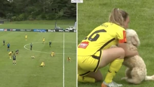 W trakcie meczu na murawę stadionu wpadł pies jednej z zawodniczek