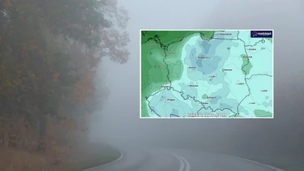 Wtorek będzie chłodny, mglisty i nieprzyjemny. W wielu miejscach trzeba się liczyć z mżawkami