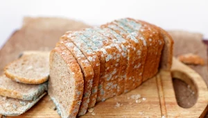 Gdzie wyrzucać spleśniały chleb? Nie dla wszystkich jest to oczywiste