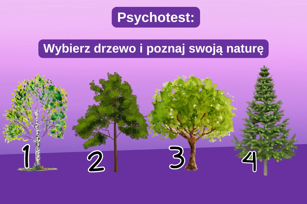 Test osobowości Test osobowości