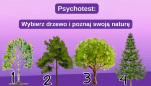 Test osobowości: Co skrywa twoja prawdziwa natura? Poznaj swoje mocne strony