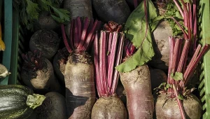 Buraki przechowuj tylko w ten sposób. Wystarczy jeden błąd, a zgniją 