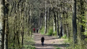 Idealna dla biegaczy, rowerzystów i narciarzy biegowych. Wiele tras niecałe 30 minut od Krakowa