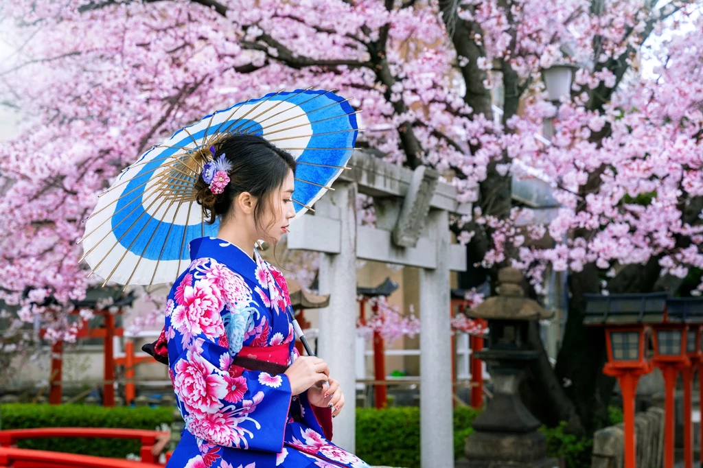 Japonia najpiękniej wygląda na przełomie marca i kwietnia, gdy rozpoczyna się sezon kwitnienia wiśni 