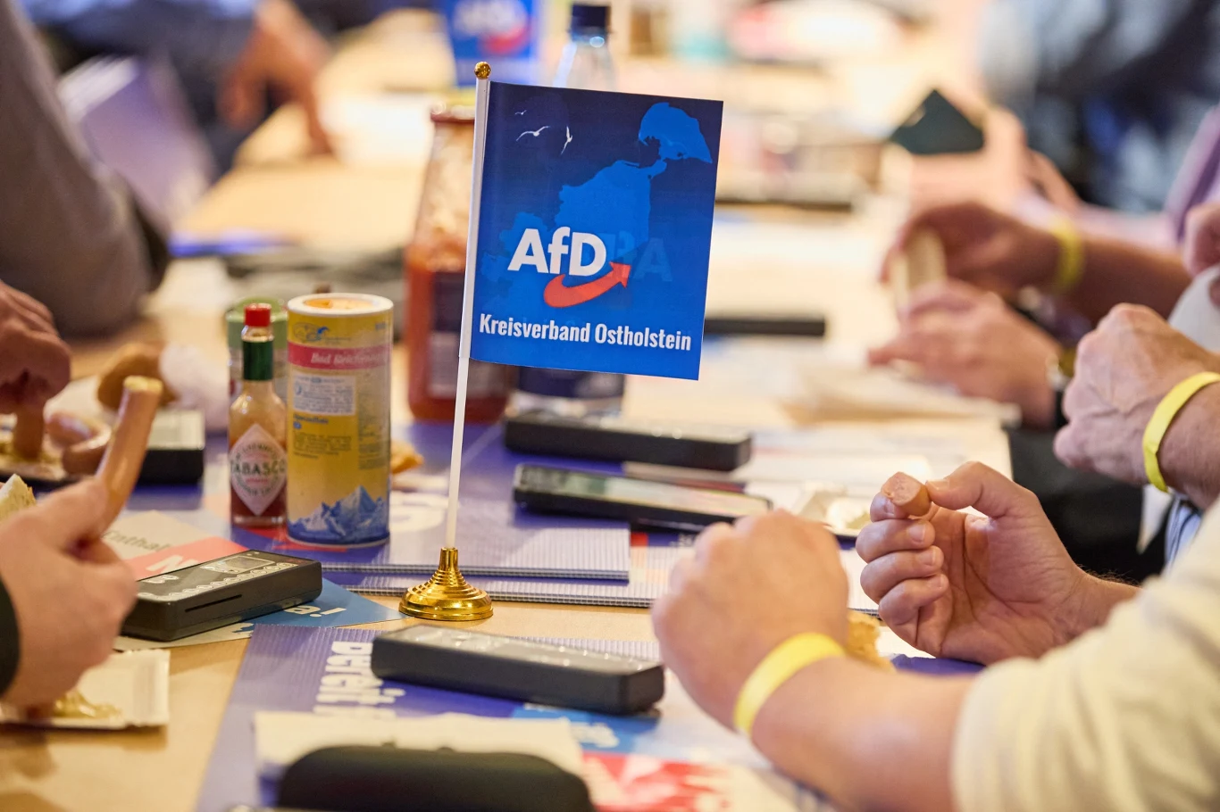 Po rozpadzie niemieckiej koalicji rządzącej, najwięcej w sondażach zyskała AfD Po rozpadzie niemieckiej koalicji rządzącej, najwięcej w sondażach zyskała AfD