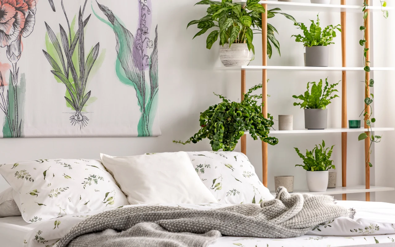 Rośliny, które oczyszczają powietrze z toksyn