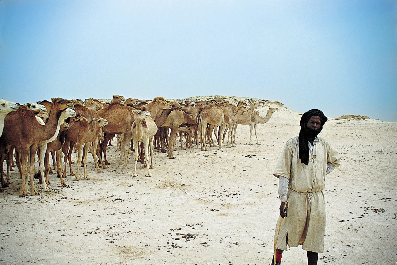 Ryanair uruchamia trasę do Sahary Zachodniej. Czy to bezpieczne? Ryanair uruchamia trasę do Sahary Zachodniej. Czy to bezpieczne?