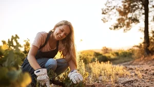 Te kwiaty możesz posadzić w listopadzie. Na wiosnę stworzą kolorowy dywan