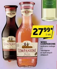 Wino Companione