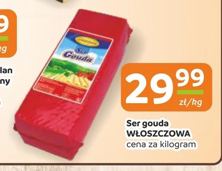 Ser Włoszczowa