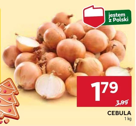 Cebula Polski