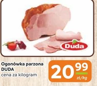 Ogonówka Duda