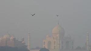 Smog w Indiach. Przez złą jakość powietrza zamknięto szkoły podstawowe 