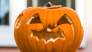 Zamiast wyrzucać, wynieś do ogrodu. Lepszego nawozu nie znajdziesz