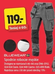 Чоловічі робочі штани Bluewear