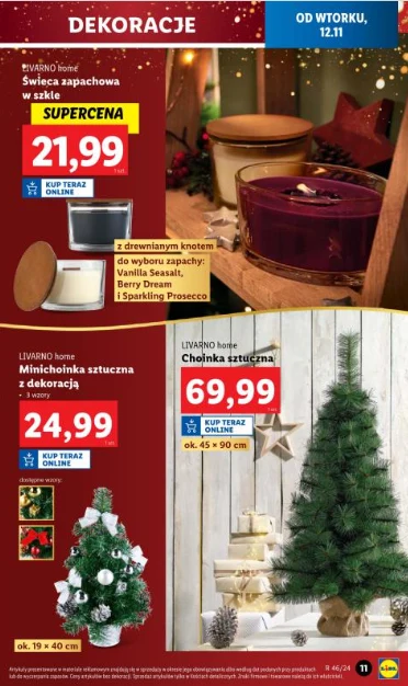 Choinki w sieci Lidl Choinki w sieci Lidl