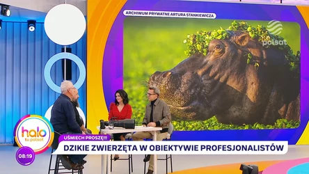 O konkursie na najzabawniejsze zdjęcia zwierząt i profesjonalnej fotografii. By pomóc