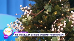 Wybierz choinkę już w listopadzie. Ekspertka wyjaśnia, na co zwrócić uwagę