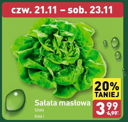 Sałata masłowa