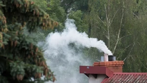 Straż miejska przeprowadzane kontrole m.in. pod kątem nielegalnego spalania odpadów