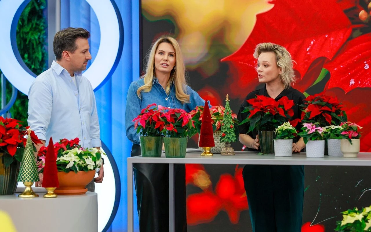 Katarzyna Joda, Maciej Rock i Agnieszka Hyży rozmawiają o poinsecji