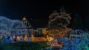 To najbardziej rozświetlona wieś w Polsce. Jej mieszkańcy czują ducha świąt 