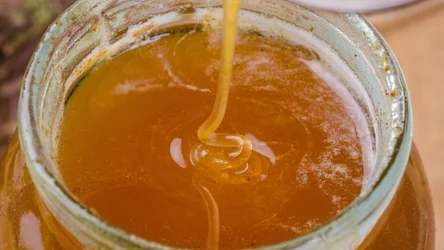 Po czym poznać, że miód jest zepsuty?