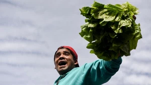 Komisja Europejska chce podpisać umowę o wolnym handlu z krajami Mercosur. Na zdj. argentyński farmer podczas protestu rolników w Buenos Aires