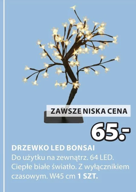 Drzewko bonsai Białe