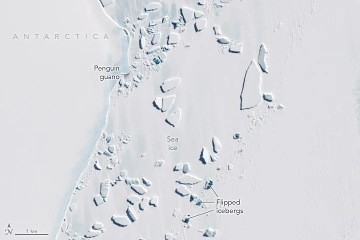 Na zdjęciu umieszczono oznaczenia wskazujące na to, czym są poszczególne formy.