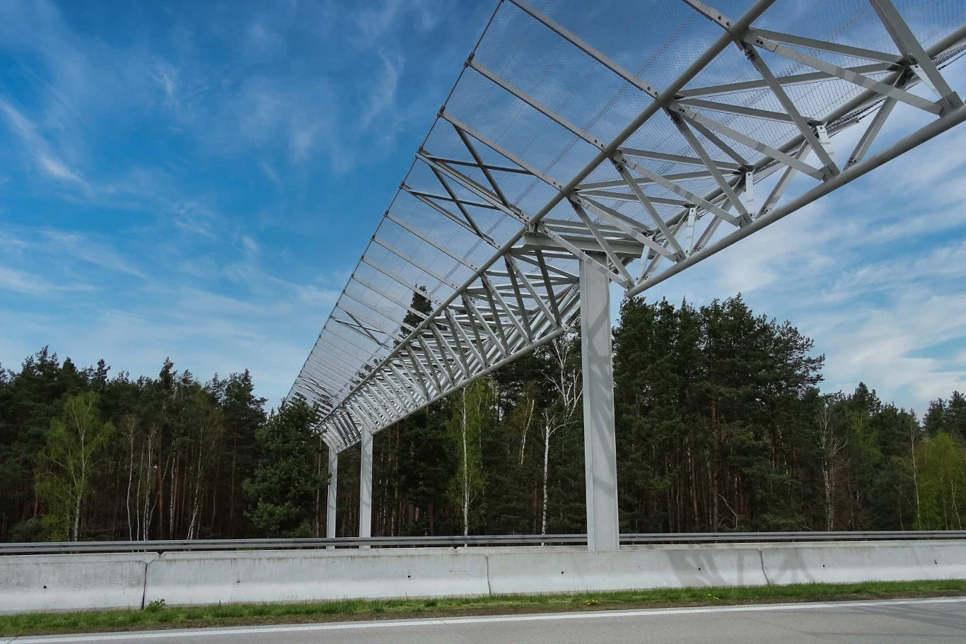 Tworzące kształt litery Y konstrukcje ułatwiają nietoperzom pokonanie szerokiej trasy