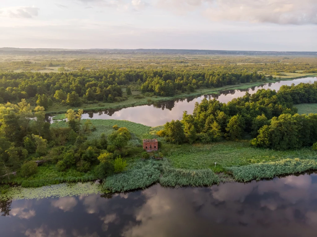 Park Narodowy Doliny Dolnej Odry zostanie utworzony terenie czterech gmin: Szczecin, Gryfino, Kołbaskowo i Widuchowa / fot. Piotr Piznal / Ministerstwo Klimatu i Środowiska