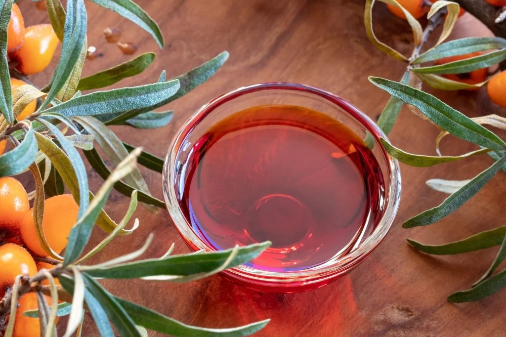 Olej z rokitnika uchodzi za jeden z najcenniejszych olejów roślinnych. Jak działa? 