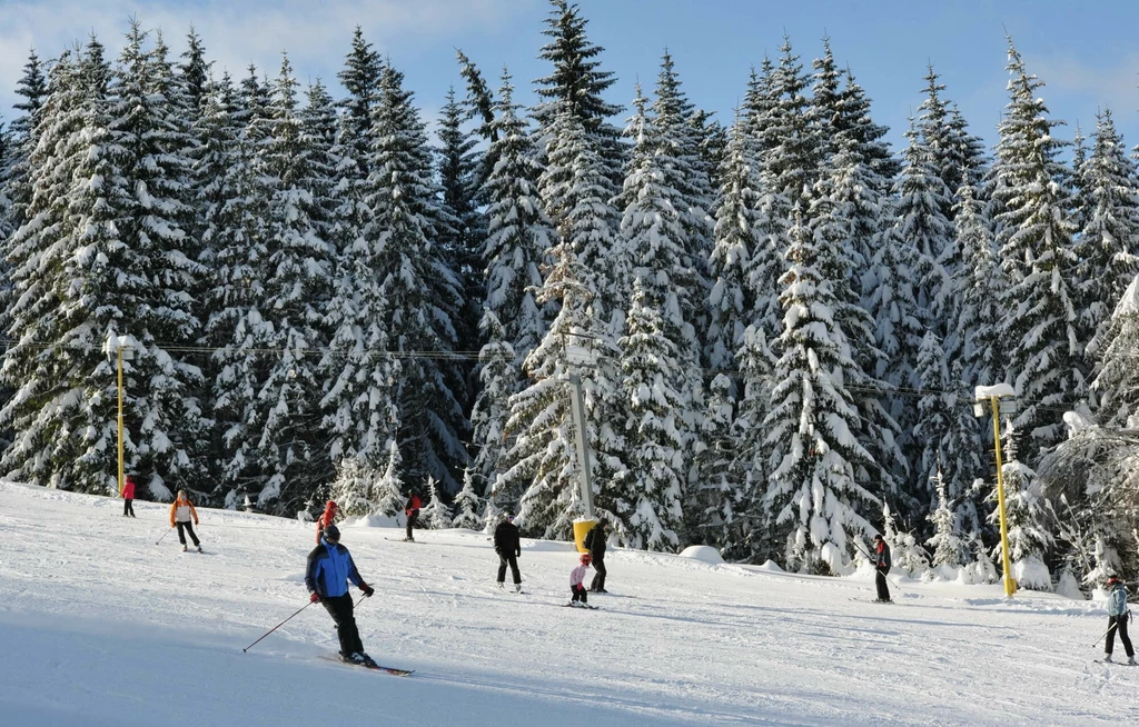 Harrachov znajduje się tuż pod granicą z Polską 