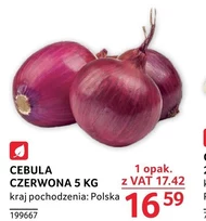 Cebula czerwona