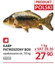 Karp Polski